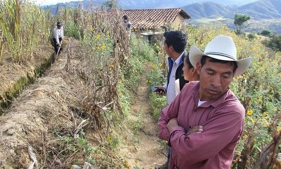 Figura 2 — Comprometimento da produção agrícola no Corredor Seco Centro-Americano